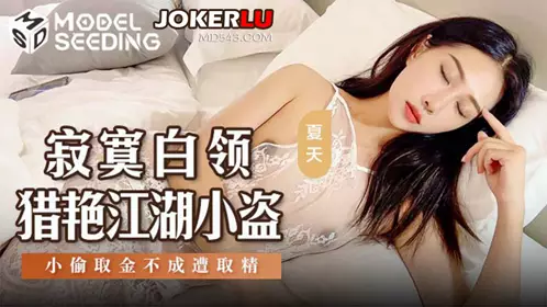 【麻豆传媒映画】 MSD-159 【夏天】 寂寞白领猎艳江湖小盗 小偷取金不成遭取精