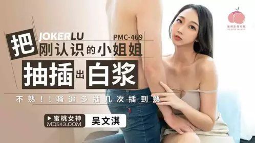 PMC-469 【吴文淇】 把刚认识的小姐姐被抽插出白浆 【蜜桃影像传媒】