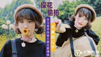 天美赵公子探花双马尾学妹被大屌无套爆插 