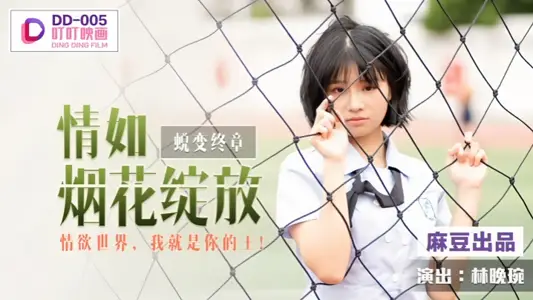 DD005 蜕变终章之情如烟花绽放 【林晚琬】