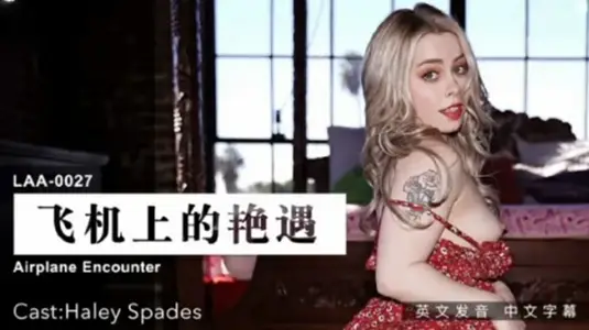 飞机上的艳遇