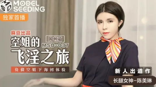 麻豆-空姐的飞淫之旅负债空姐下海初体验-【陈美琳】